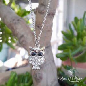 Diamante Owl Pendant in Stainless Steel on Chain